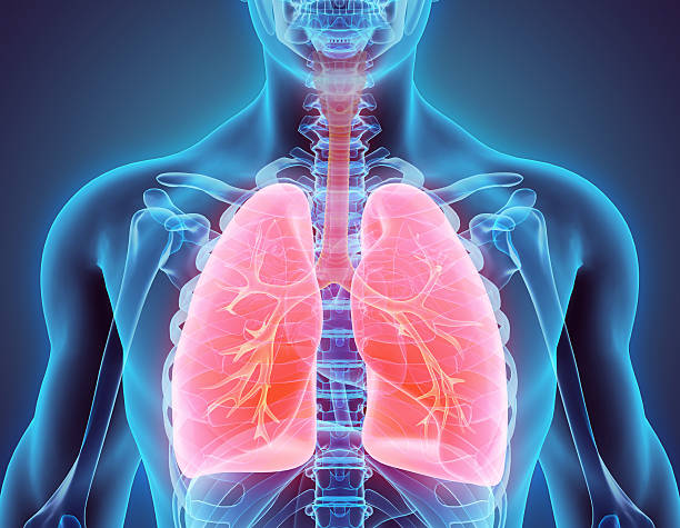 MedicalNews